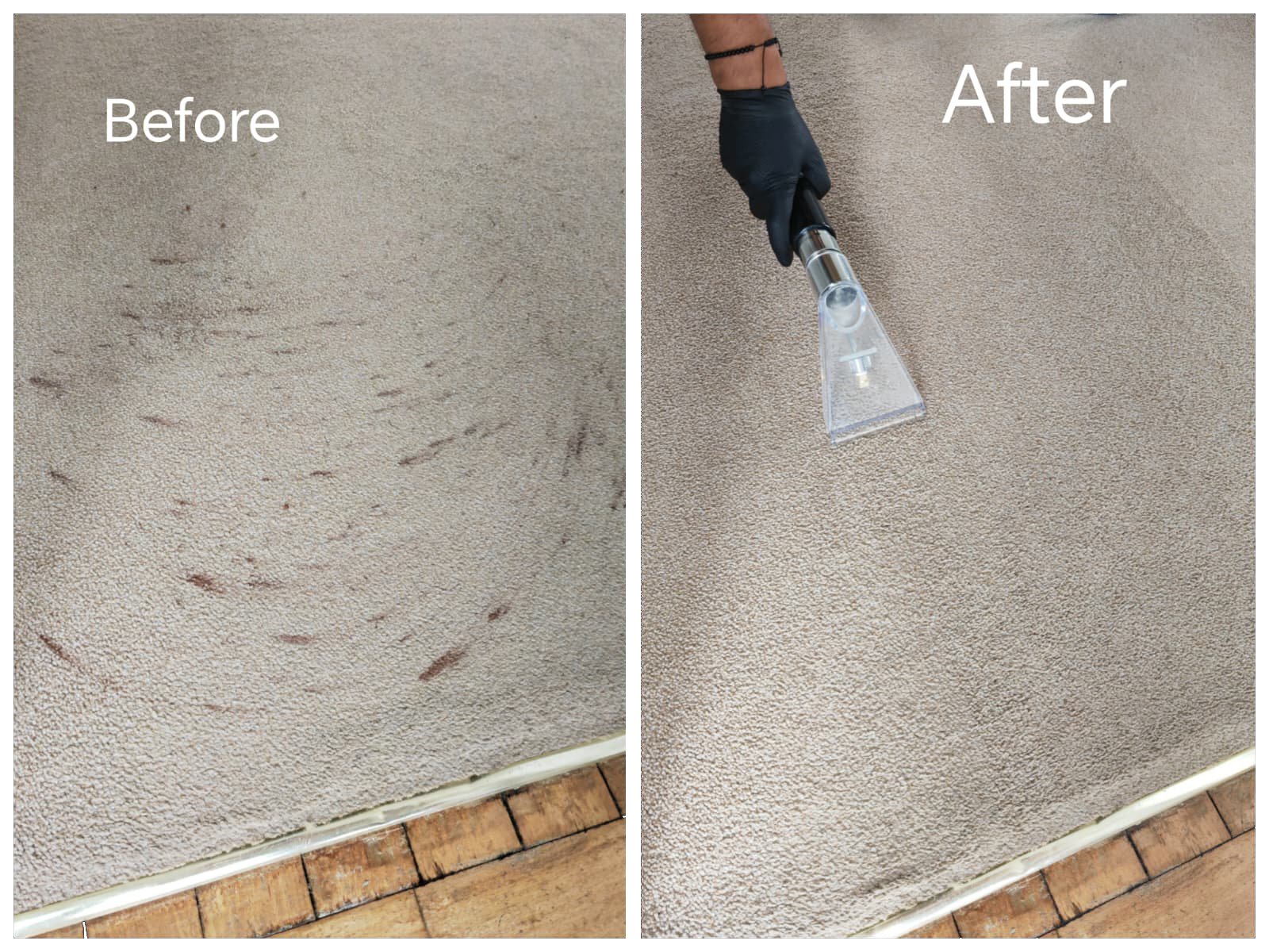 Before and After of Carpet Hunters providing their carpet cleaning and stain removal services in Hove, East Sussex