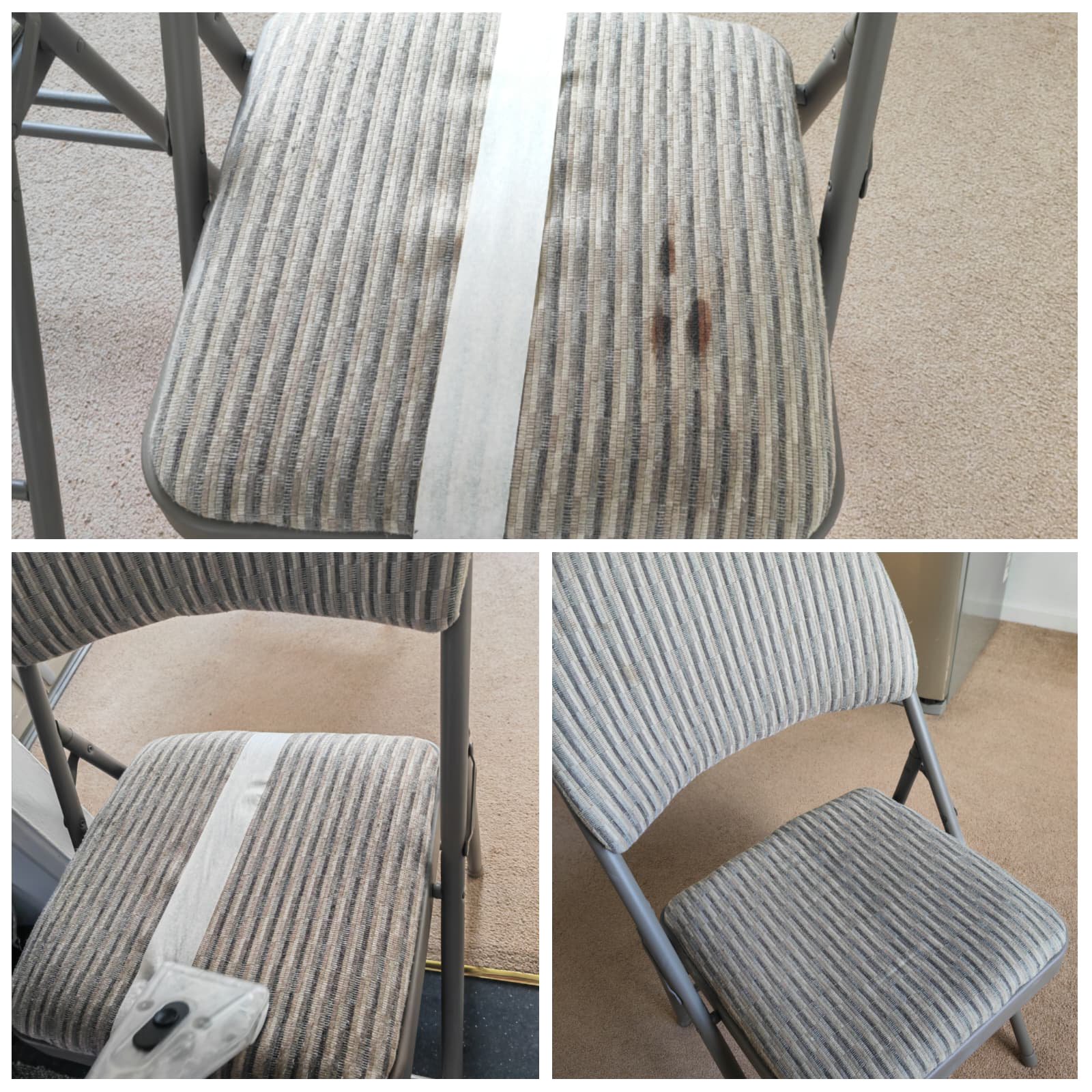 Carpet Hunters providing stain removal services in Lewes, East Sussex